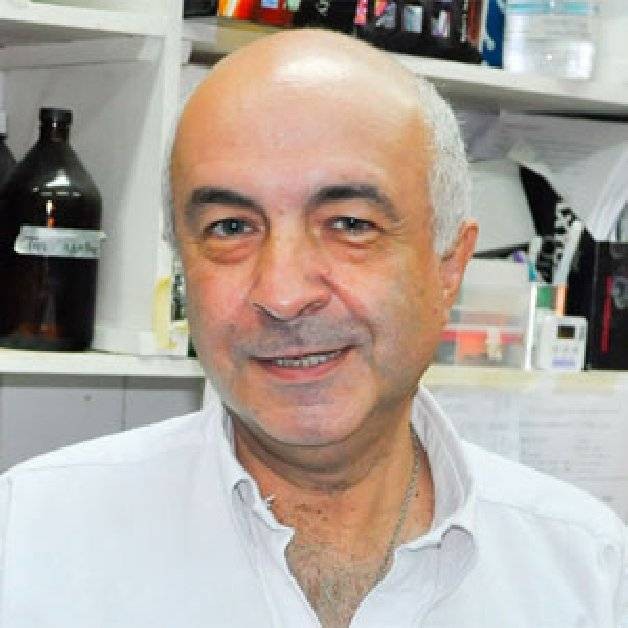 Dr. Angel Cataldi